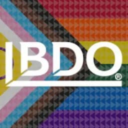 BDO USA